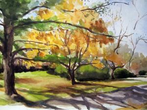 Watercolors By Judith A. Scull